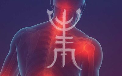 La Médecine Traditionnelle Chinoise