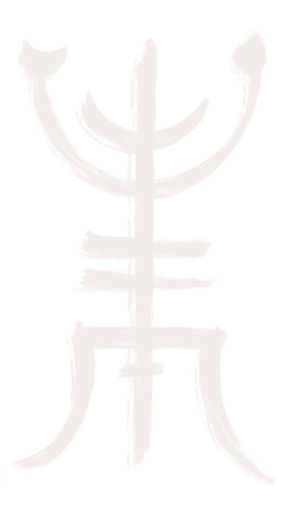 Anne Thérapie Chinoise