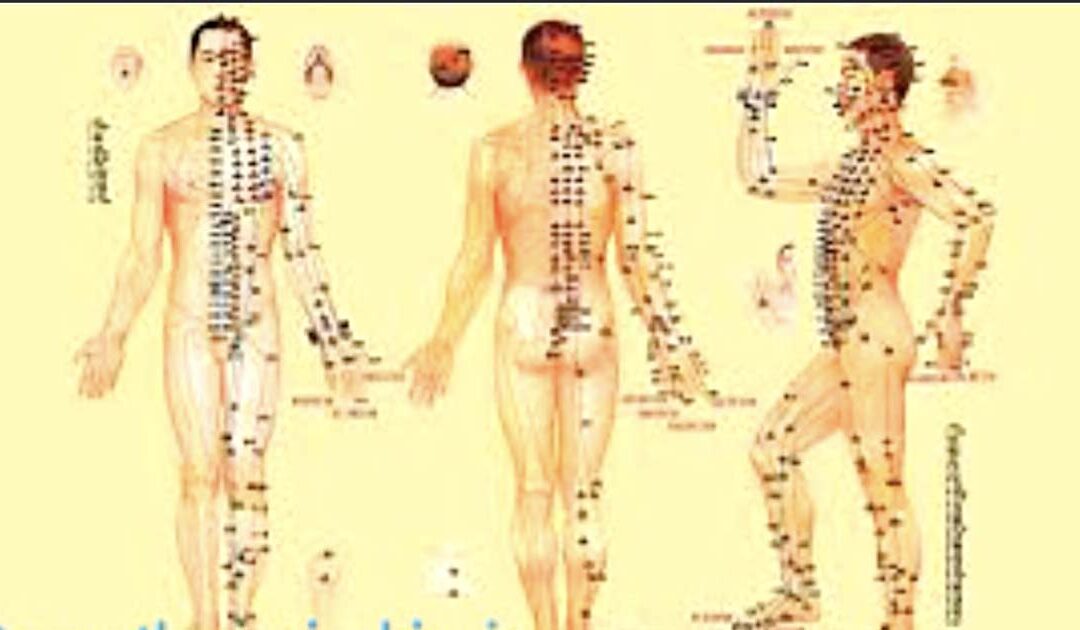 Le méridien de l’estomac