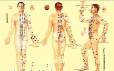 Le méridien de l’estomac